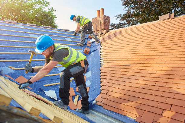 Best Steel Roofing  in Nanticoke, PA